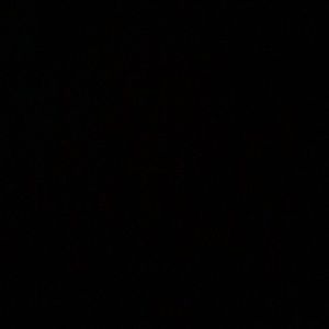 Meet your Posher, Madie